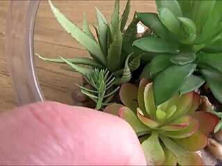 Tiny Asian Teen Shares Room with Stepbro