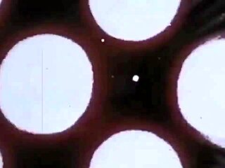 Explore vintage erotic illustrations from antique cartoons and anime