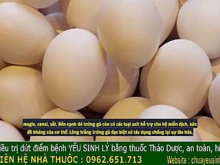 Ancient Vietnamese Secrets for Boosting Male Vitality Revealed