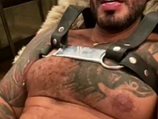 What secrets does Viktor Rom hide after 3650 days in gay industry?