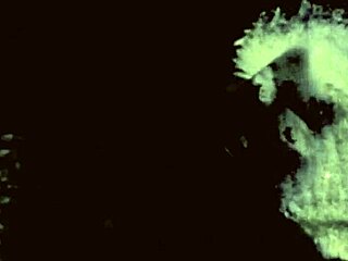 Wanna Join the Vintage Porn Challenge 1870s vs 1970s?