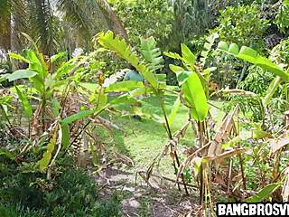 is stepsister getting fucked outdoors?