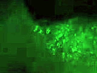 intriguing porn animations in hentai cartoons