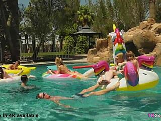 i can’t even name all 3 trannies at this wild party