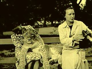 Vintage Erotic Illustration Sparks Retro Anime Desire