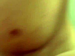 Alineflavio Update 151 From September 11 2024.