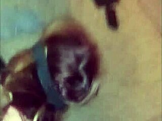 Big black cock fucking and bondage action
