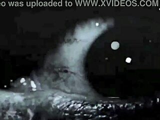 Erotic illustrations from the past