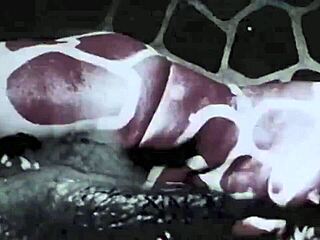 Victorian Nudes Unveiled in Erotic Confessions