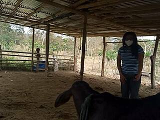 Harem Hotel 212 Game Adventure