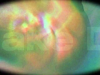 Sexy milf Mercedes begged for a ride, so I pounded her juicy phat ass hard.