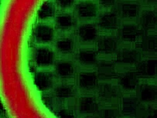 Bubble booty Selena Lust drilled doggy style by Rome Major's BBC 🔥