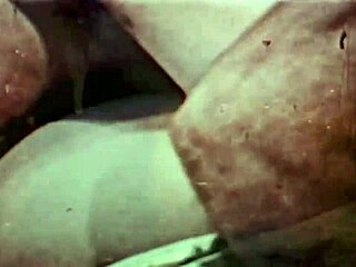 黑暗灯笼娱乐揭开蜻蜓Freddies复古狂欢