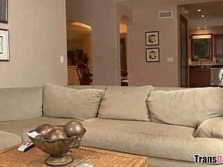 my babysitter’s a transsexual, wolf hudson and holly parker story