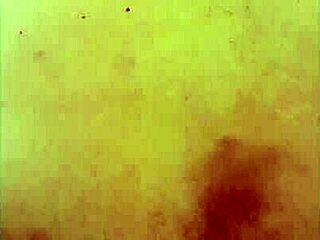 i put a condom on xl flint n sleipnir