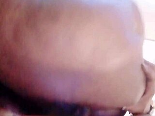 sundaydogood614 update 911 vid march 28 2025