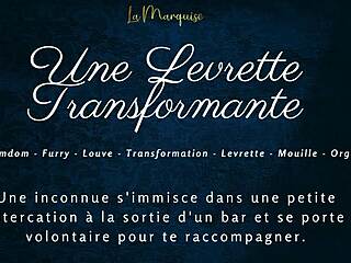 A blowjob and a levrette - french audio furry content