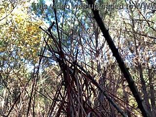 奶油小穴套大屌