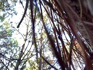 Creamy pussy on cock