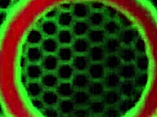 hot milf claudia valentine sucking cock until cum in mouth