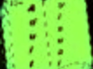 my new family episode 321