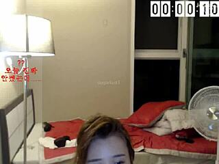 i can't stop watching Bagel Soo tease in this sexy Korean strip. her ripped clothes drive me wild every time!