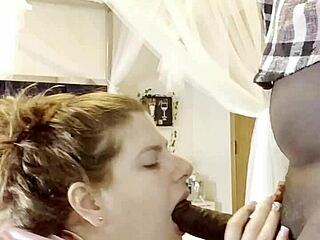 Luxurious BBWs Perform Sloppy Blowjobs In Compilation