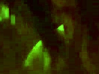 Wife Gives Blowjob And Handjob To Big Cock!