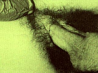 i remember pornostalgia in the swinging sixties with double fight