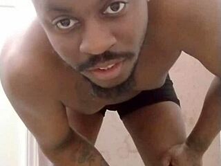 What A Mess In The Room With My Scorpio Pet Wolf!