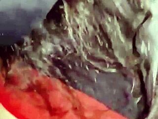 did you see amoosinas cum on white ass in airport wc?