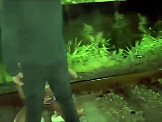 My Dirty Hobby Involves European Amateurs and Cumshots with Linadiamond