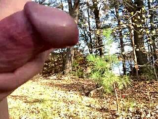 Clitlicker662 - Update 19 - Img 1255 - Nov 24 2024