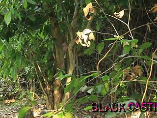 I Took Babe To Bush For Quickie Fuck To Clear Debt