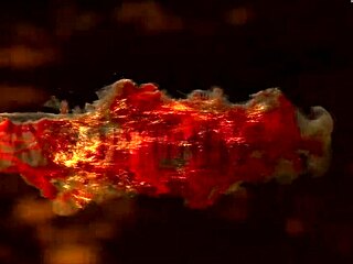 Milana Fox猛肛爆菊加肛门内射