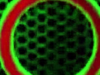 Sophie Dee dildo drills her pussy