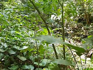 Outdoor Nature Adventure