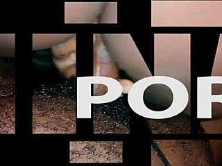 Cowgirl rides reverse while giving intense blowjob in wild quickie session