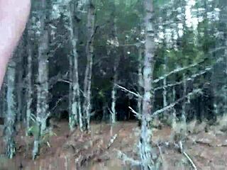 CLITLICKER662 UPDATE 28 IMG 1283 DEC 31 2024