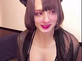 cat ear sexy crossdressing ladyboy masturbates on live stream with anal fucking