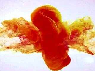 I mean like hot pornstar Katy Rose is lappin up her own piss after squirting with toys