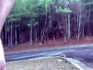 CLITLICKER662 UPDATE 28 IMG 1283 DEC 31 2024