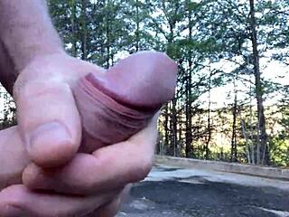 CLITLICKER662 UPDATE 28 IMG 1283 DEC 31 2024