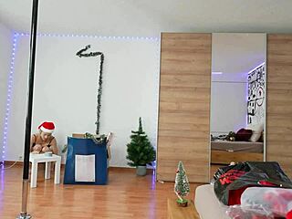 christmas decoration and pole dancing in a fun sfw party