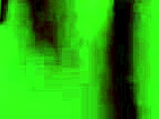 The secretary from my company was hitting on me so I took her home and sucked her pussy really good