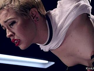 金发捆绑奴隶被狠鞭抽