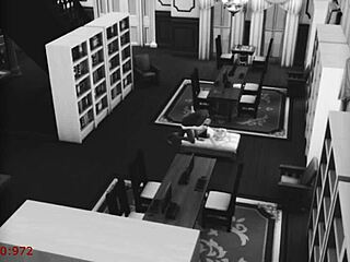 Wife Cheats By Fucking Stranger At Library On Security Cam