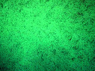 panties try on haul with thong only for ass shaking and teasing free