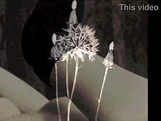 Vintage Erotic Scenes from Retro Antique Collection