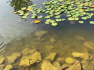 饑渴妹子公共泳池濕透女同志接吻指姦